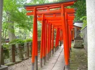 Torii gate